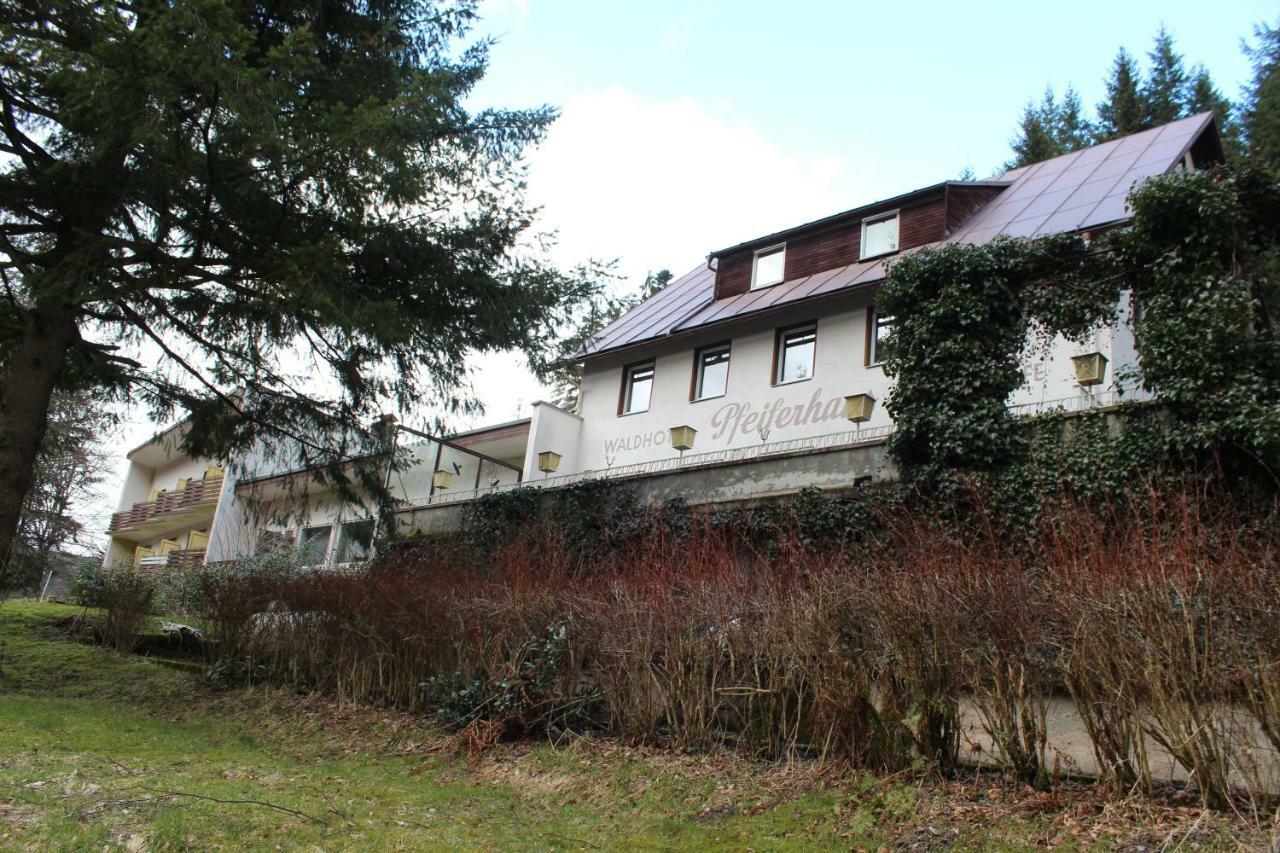 Waldpension Pfeiferhaus 瓦门施泰纳赫 外观 照片